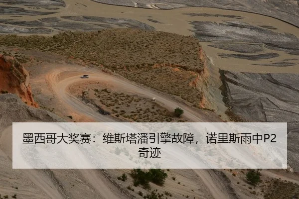 墨西哥大奖赛：维斯塔潘引擎故障，诺里斯雨中P2奇迹